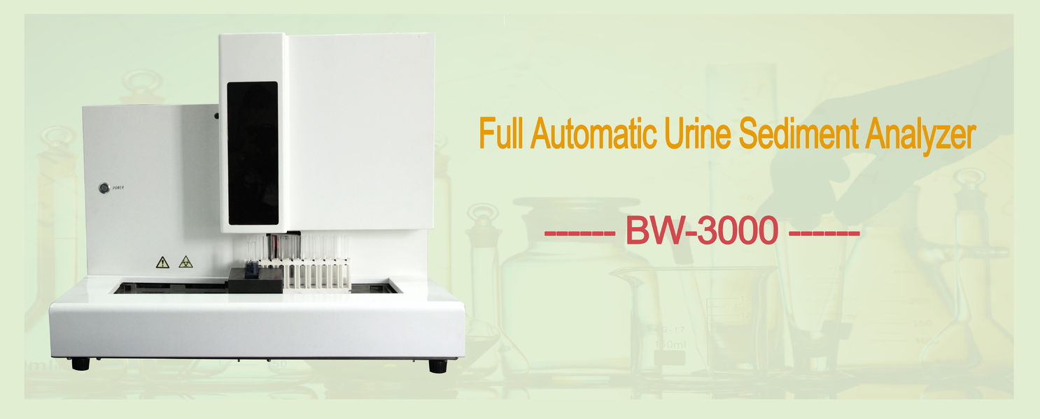 China best Automatic Urine Analyzer on sales