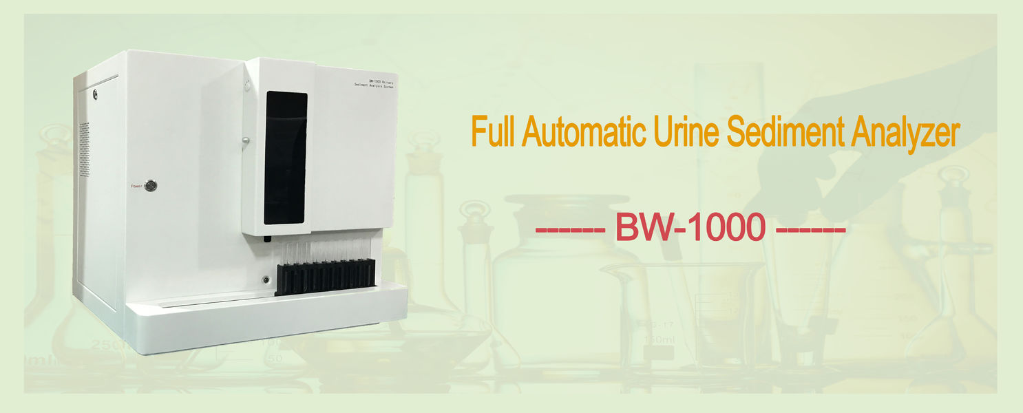 China best Urinalysis Strips on sales