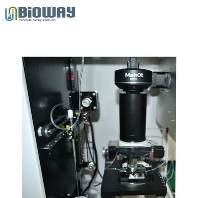 China Urine sediment analyzer, urine formed elements analyzer, BW-1000, full automatic, urinalysis workstation supplier
