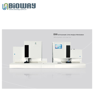 China Urine Chemistry + Urine Sediment Analyzer,  Urinalysis System, BW-3000 Automatic Urinalysis Workstation supplier