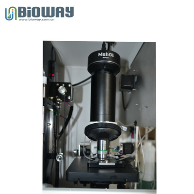 Urine sediment analyzer, urine formed elements analyzer, BW-1000, full automatic, urinalysis workstation supplier