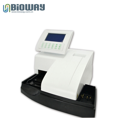 10,11,12parameters BW-500 Semi Automatic Urine Analyzer,Semi Biochemistry analyzer,Urinalysis Equipment supplier