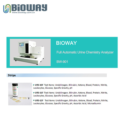 Test Speed 240 Samples/Hour BW-901 Urine Analyzer,Strip Analyzer,Chemical And Sediment Analysis,Urine Test supplier