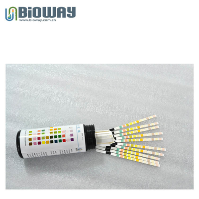 Urinalysis Test Strips, 10,11,12,14 Parameters Ultra Urinaslysis Reagent Test Strip, Dipsticks, BW-10 Urine Strips supplier