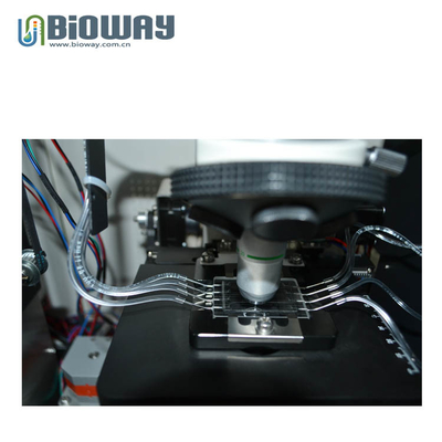 BW-3000 Urine Sediment Analyzer, Urine Microscopy Test,  Full Automatic Urinalysis Instruments,120-160 samples/hour. supplier