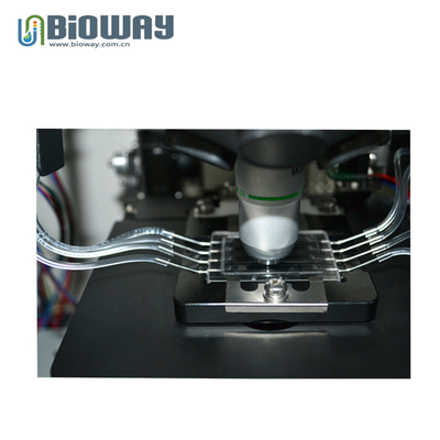 Urine Chemistry + Urine sediment Analyzer Urinalysis System, Uriscan, Compact Urinalysis Urine Analyzer supplier