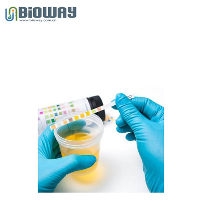 Urinalysis Test Strips, 10,11,12,14 Parameters  Reagent Test Strip, Urine strips for full automatic urine analyzer supplier