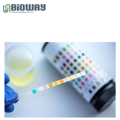 URINE STRIP,Reagent Test Strip,10,11,12,14 Parameters supplier