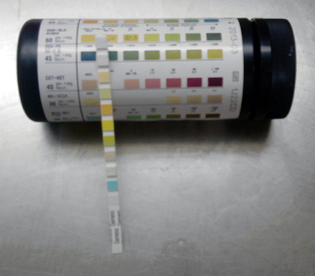 Reagent Test Strip, 10,11,12,14 Parameters , glucose, ketone body, bilirubin, ascorbic acid, protein, nitrite, pH value supplier