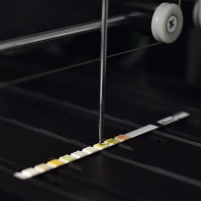 Reagent Test Strip, 10,11,12,14 Parameters , glucose, ketone body, bilirubin, ascorbic acid, protein, nitrite, pH value supplier